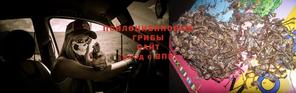 спайс Алексин