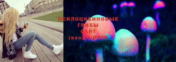 соль курить ск Алзамай