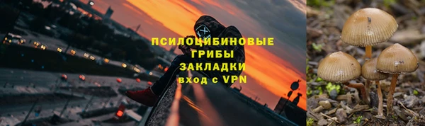 спайс Алексин