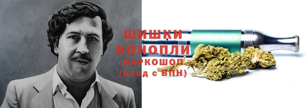 спайс Алексин