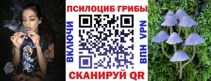 Галлюциногенные грибы Psilocybine cubensis  блэк спрут ссылка  Щигры 